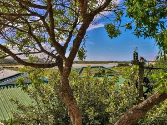 White Penguin - Garden