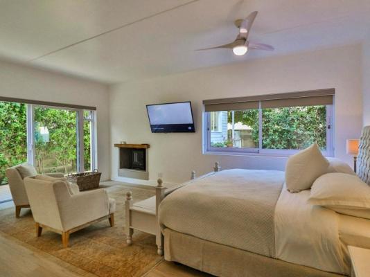 White Penguin - 259865