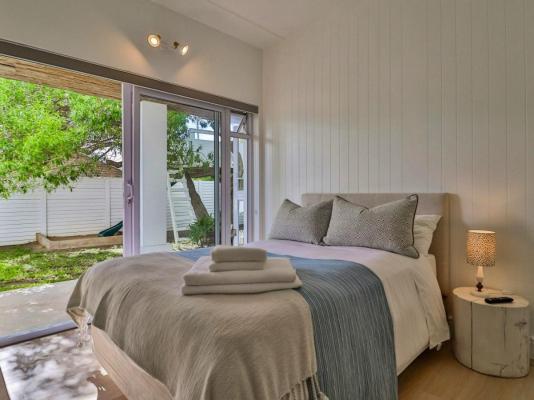 White Penguin - 259866