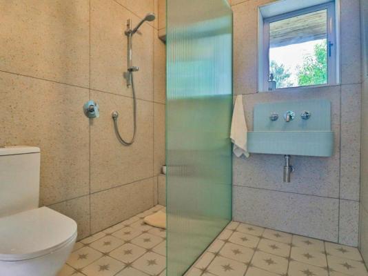 White Penguin - 259868