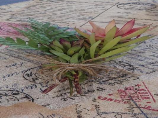Unitas Guesthouse - Dining area