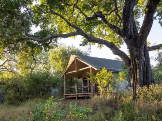 Nkuwa Wilderness Camp - Property / Building