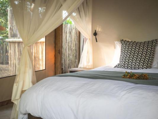 Nkuwa Wilderness Camp - 259924