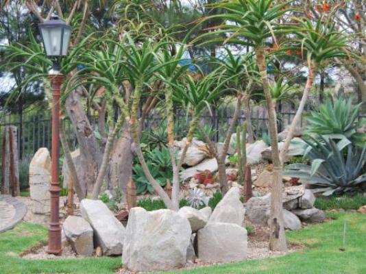 Aloe Ridge Self Catering - Property / Building