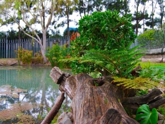 Aloe Ridge Self Catering - Property / Building