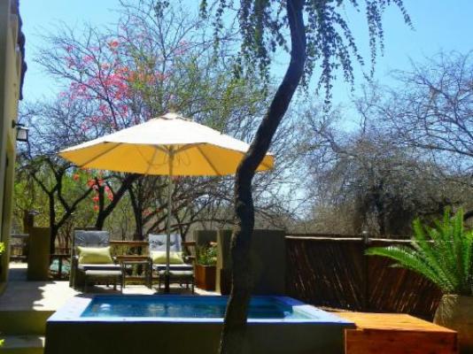 Kruger River Lodging - Swimming pool