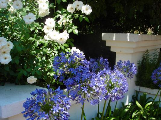 Oxnead Guesthouse - 260067