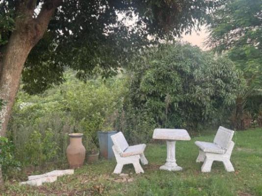 Pholanathi Lodge - Garden