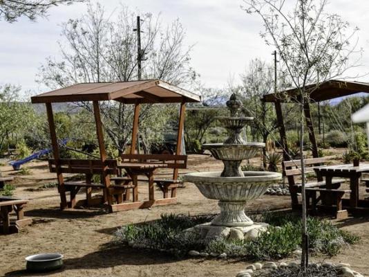 Bella de Karoo - 260311