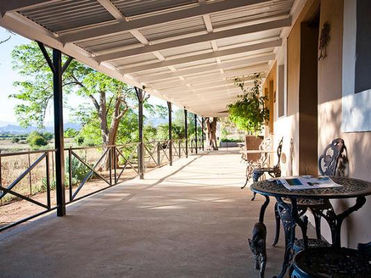 Bella de Karoo - 260313