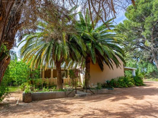 Bella de Karoo - 260330