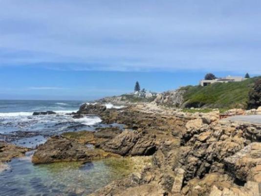 Whale Coast Luxury Suites - Neighbourhood