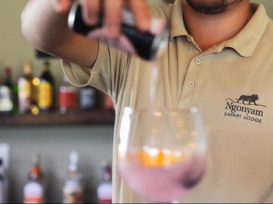 Ngonyam Safari Lodge - Lounge or bar