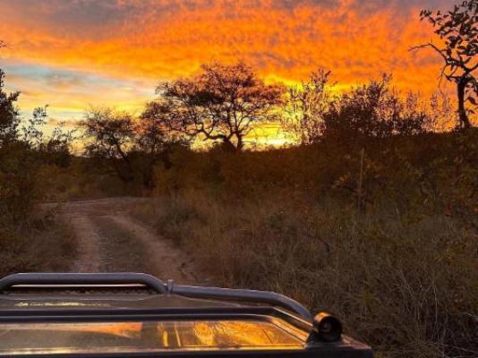 Ngonyam Safari Lodge - Natural landscape