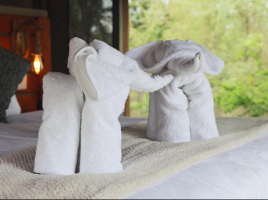 Ngonyam Safari Lodge - 260477