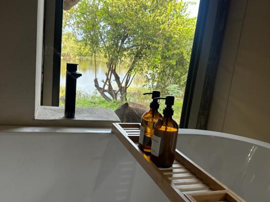 Ngonyam Safari Lodge - 260483