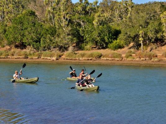 Sibuya Game Reserve & Lodge - 260491