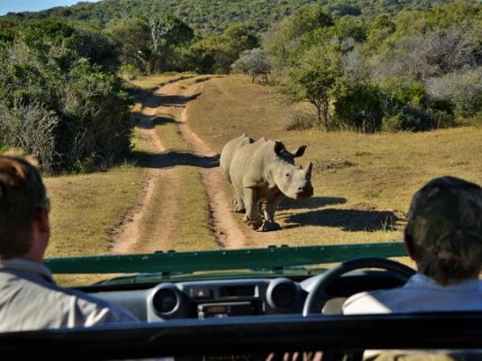 Sibuya Game Reserve & Lodge - 260500