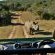 Sibuya Game Reserve & Lodge - 260500