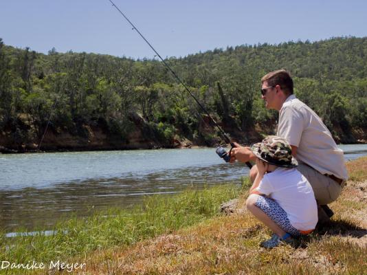 Sibuya Game Reserve & Lodge - 260531