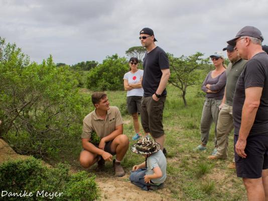 Sibuya Game Reserve & Lodge - 260541