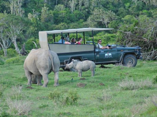 Sibuya Game Reserve & Lodge - 260542