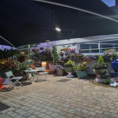 Pearl White Sands - 260692