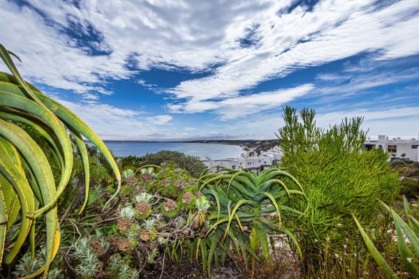 43 On Artemis, Langebaan, 8-Sleeper - 260964