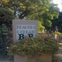 Peaches and Cream Bed and Breakfast - 261127