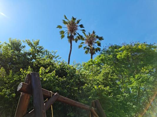 Peaches and Cream Bed and Breakfast - 261129