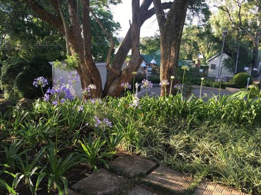 Peaches and Cream Bed and Breakfast - 261135