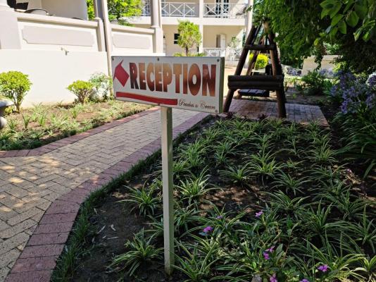 Peaches and Cream Bed and Breakfast - 261138