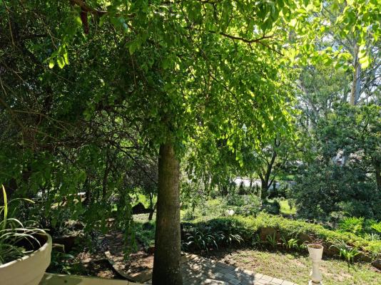 Peaches and Cream Bed and Breakfast - 261140