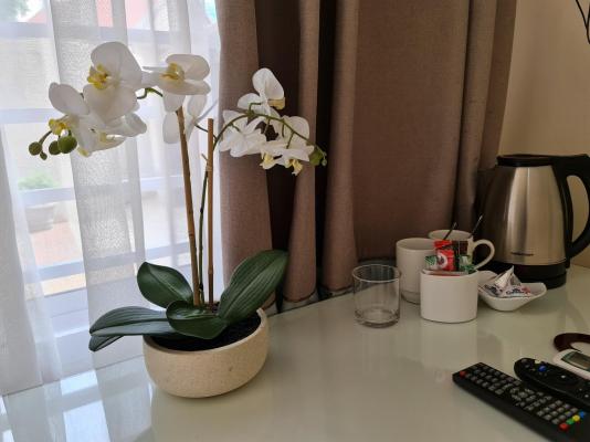 Peaches and Cream Bed and Breakfast - 261154