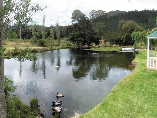 Houw Hoek Hotel - 261227