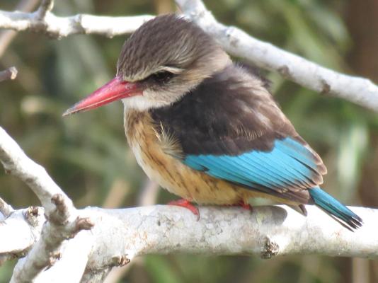 Beside Still Waters - 261331