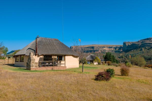 Camelroc Guest Farm - 261385