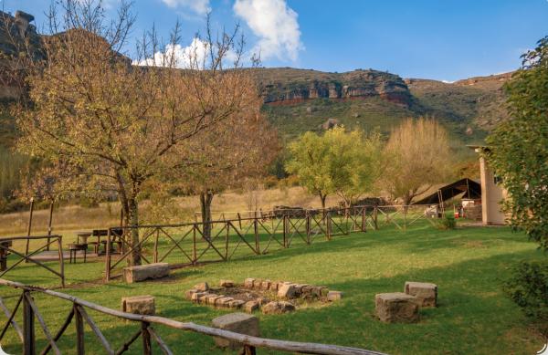 Camelroc Guest Farm - 261386
