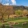 Camelroc Guest Farm - 261386