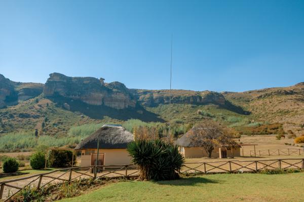 Camelroc Guest Farm - 261390