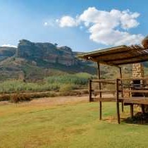 Camelroc Guest Farm - 261391