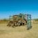 Camelroc Guest Farm - 261400