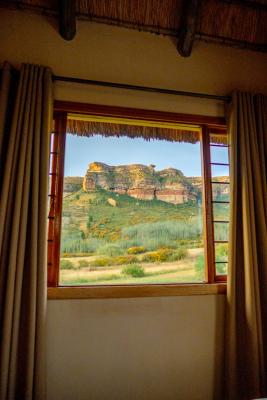 Camelroc Guest Farm - 261405