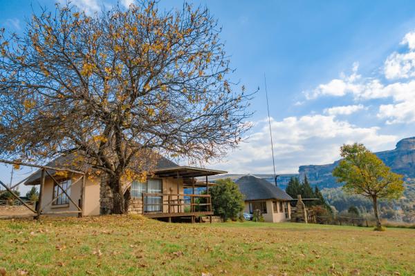Camelroc Guest Farm - 261408