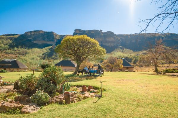 Camelroc Guest Farm - 261414