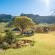 Camelroc Guest Farm - 261414