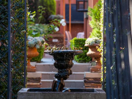 Ivory Manor Boutique Hotel - 261425