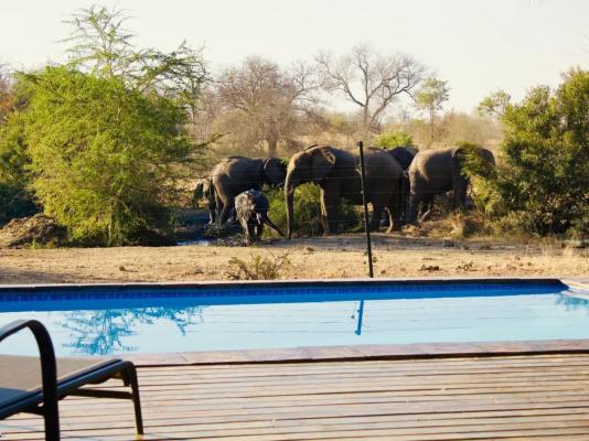 Zazu Private Bush Lodge - 261455
