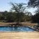 Zazu Private Bush Lodge - 261463