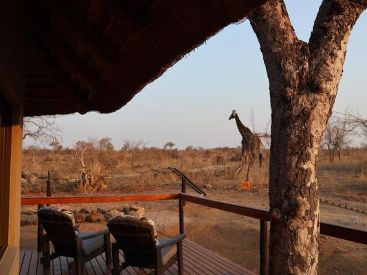 Zazu Private Bush Lodge - 261480